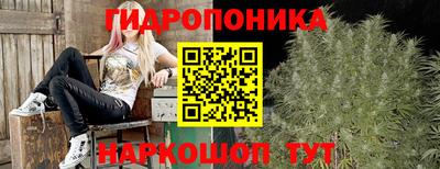 прущие грибы Рузаевка