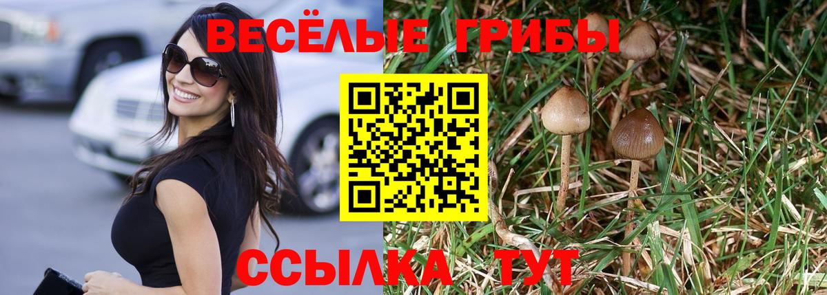 Псилоцибиновые грибы мицелий Рославль