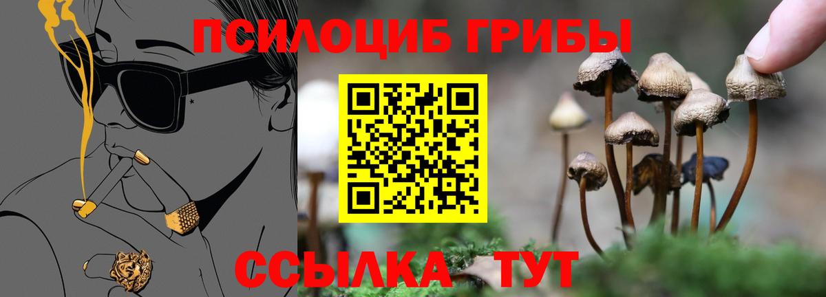 купить наркоту  Вход с VPN  Галлюциногенные грибы Psilocybine cubensis  Рославль  Псилоцибиновые грибы прущие грибы 